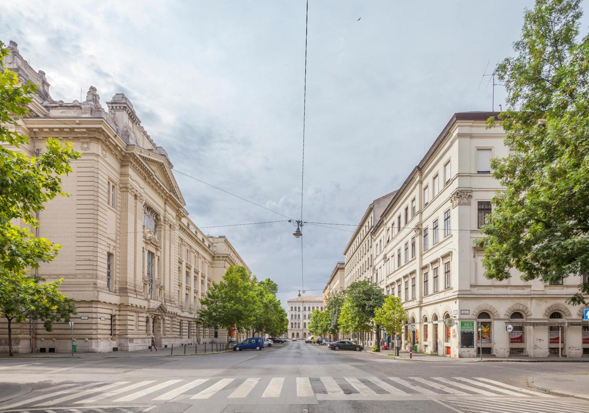 Freedom Apartment Near Parlament With Ac — Photos 1